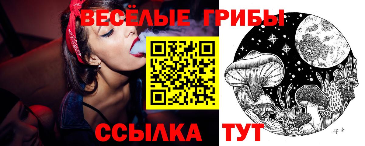 Липецк  Галлюциногенные грибы Psilocybe  Псилоцибиновые грибы Psilocybe  где найти наркотики  Вход с VPN 